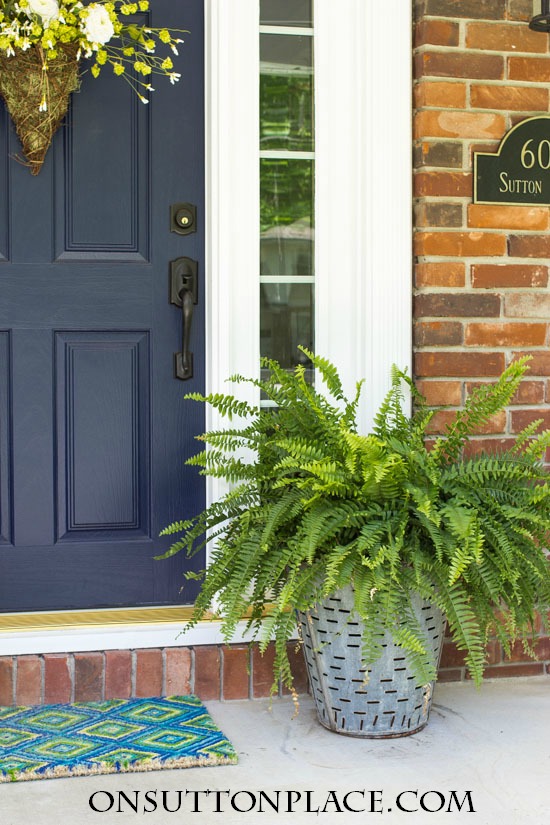 Olive Bucket Planters - On Sutton Place