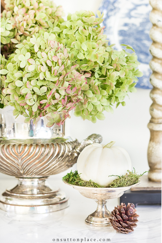 Image of Limelight punch hydrangea in vase on table