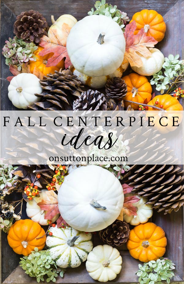 Thanksgiving Fall Centerpiece Ideas - On Sutton Place