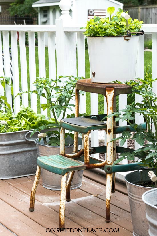 Budget Friendly Patio Container Herb Garden - Organized-ish