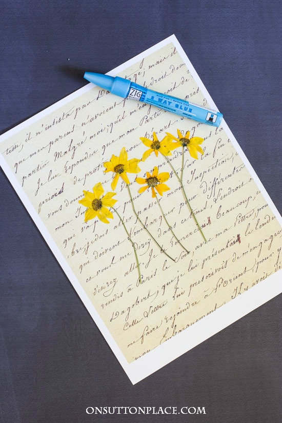 DIY Pressed Flower Art On Sutton Place