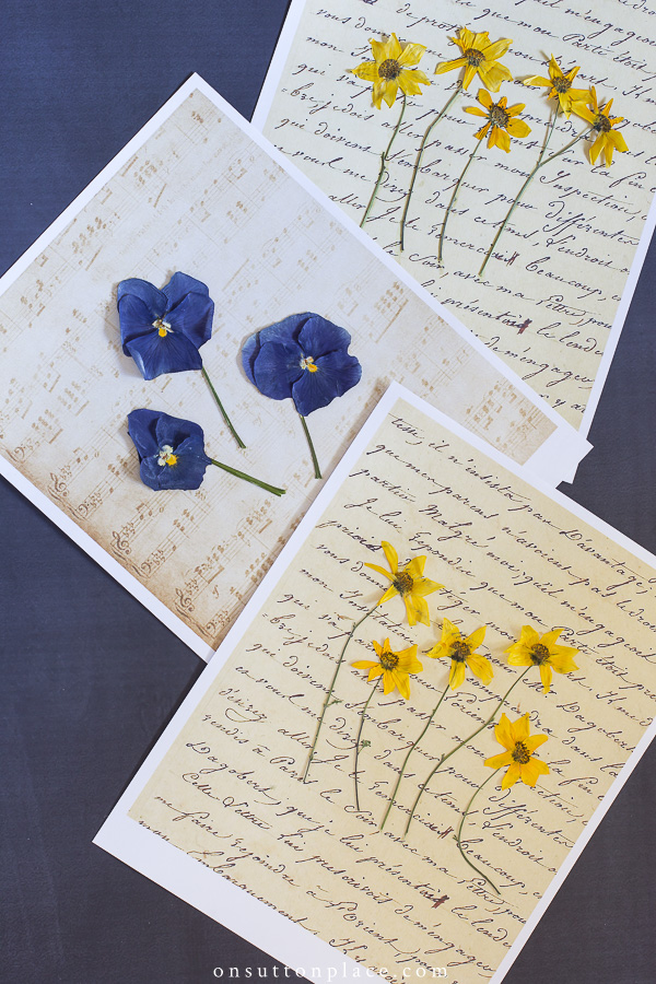 PRESSED FLOWER ART IN A FRAME - A quick and easy way to make pressed flower  pictures 