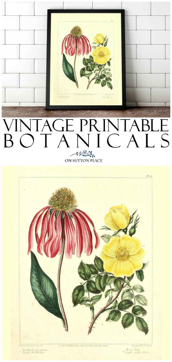 Library of Free Printable Botanicals - On Sutton Place