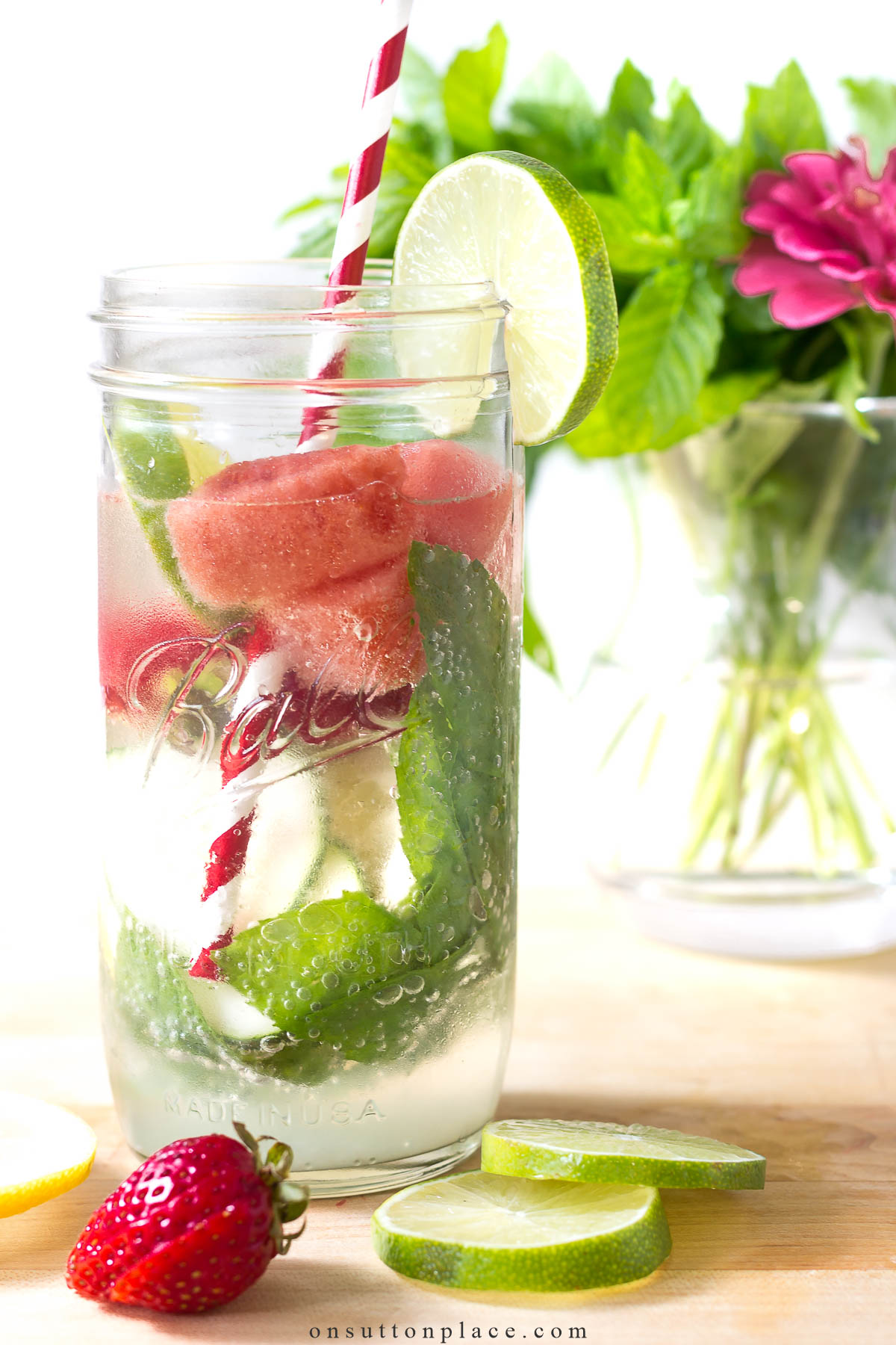 Fridge Fruit Fruit Infuser Juice Container Glass Cold Drink