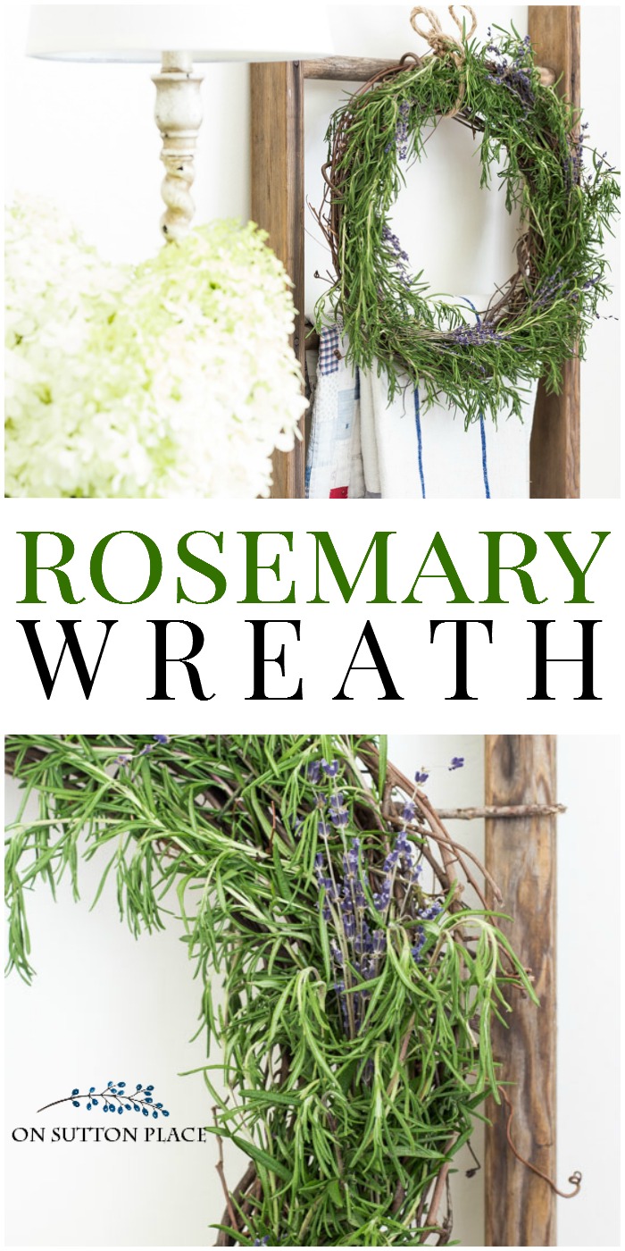 Pin on rosemary