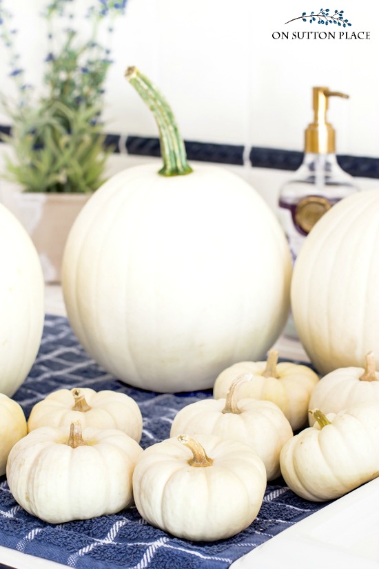 How to Preserve Pumpkins & Gourds | An Easy & Quick Method