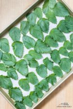 Drying Herbs in the Oven: An Easy Guide - On Sutton Place