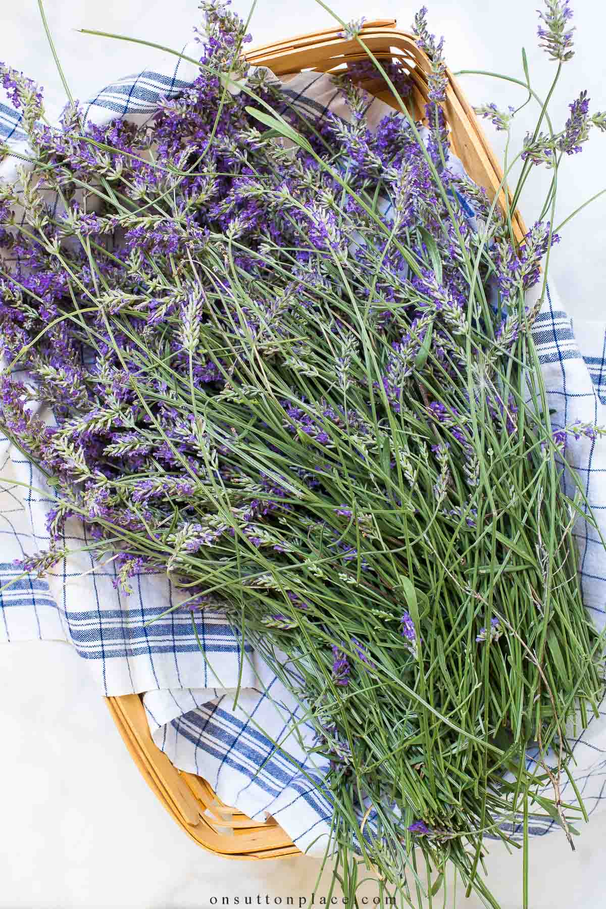 Dried Lavender Sprig Garnish