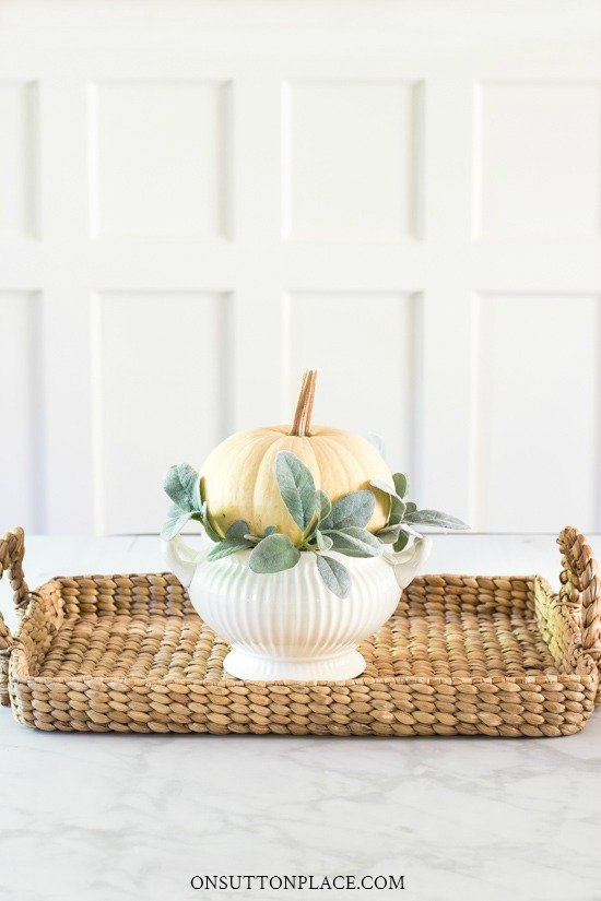 pumpkin in tureen on basket tray