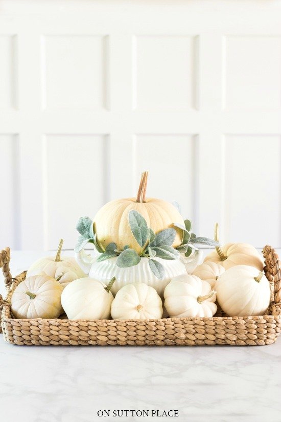 pumpkin in tureen surrounded with pumpkins