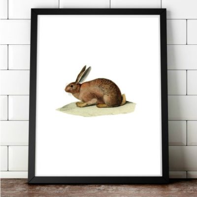 Free Printable Framed Wall Art Kitchen Rules vintage rabbit printable wall art for easter