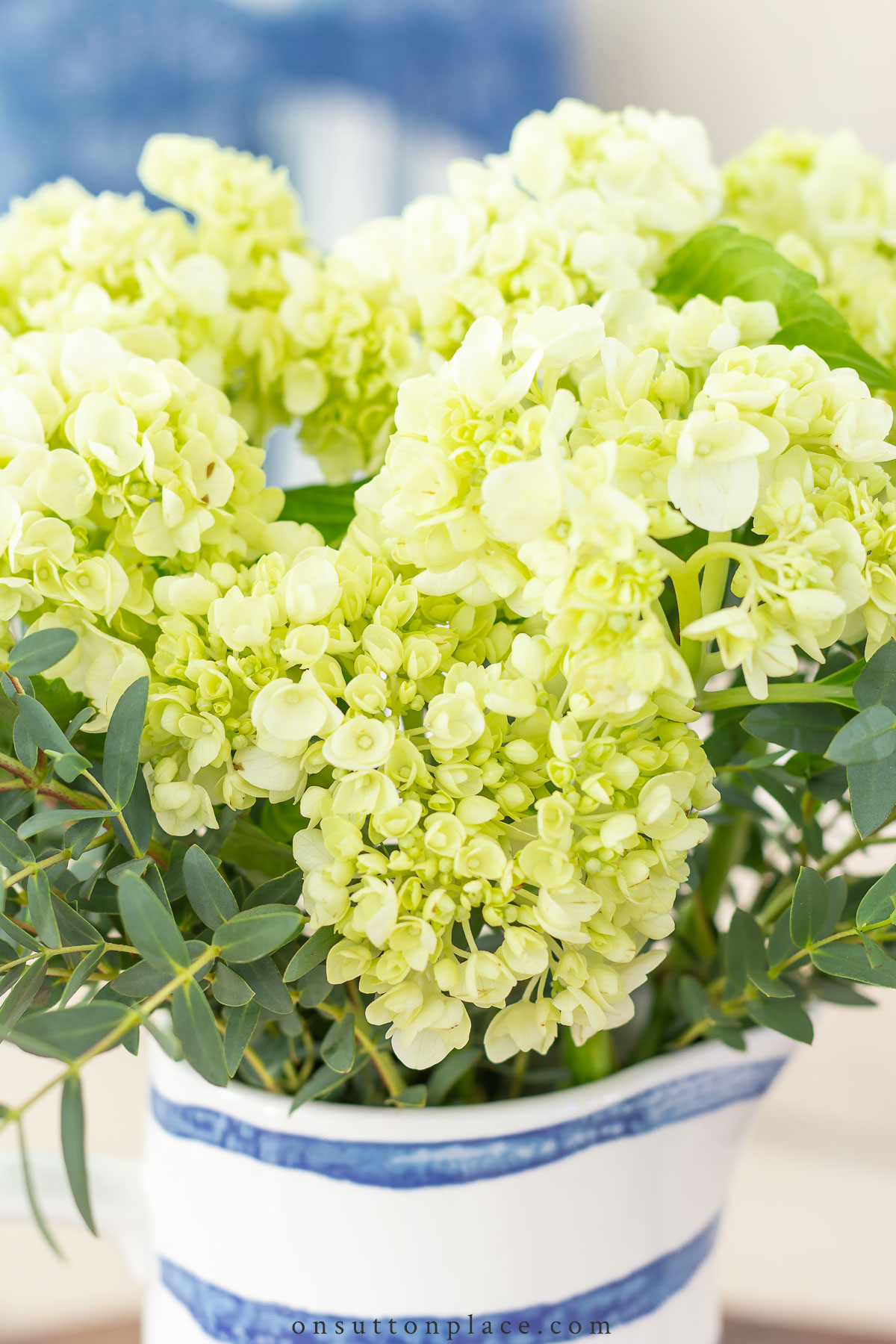 The definitive guide to making fresh cut flowers last longer