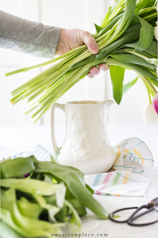 arranger les tulipes se rassemblent dans une main