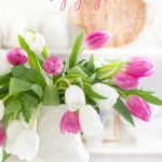 pink and white tulips drooping in pitcher with text