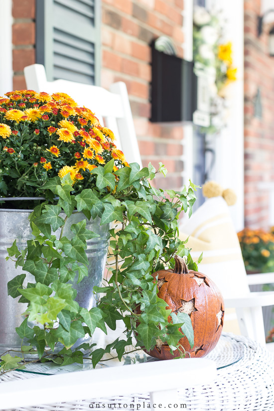 Outdoor Potted Mums Decoration