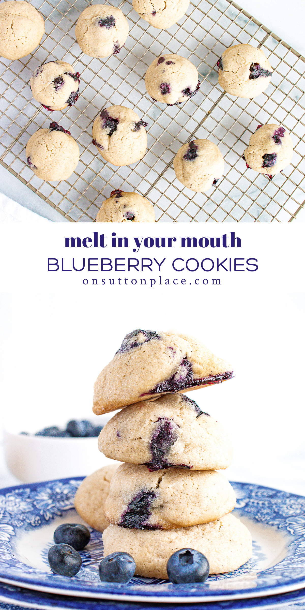 Blueberry Cookies Recipe: Simple & Sweet - On Sutton Place