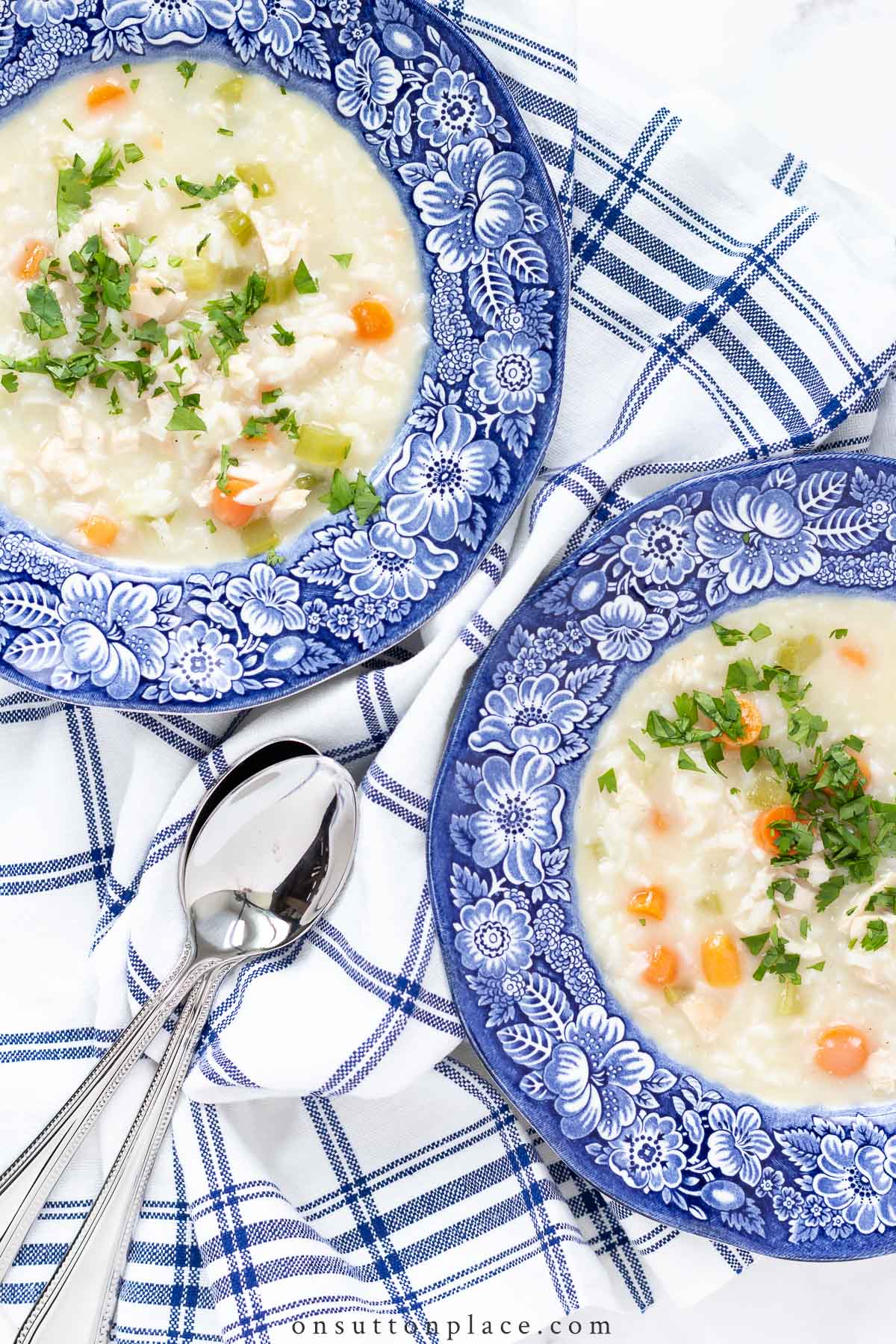 Super Easy Chicken & Rice Soup Recipe