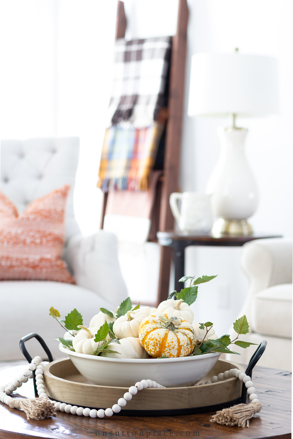 https://www.onsuttonplace.com/wp-content/uploads/2022/09/fall-coffee-table-decor-small-pumpkins-in-bowl.jpg