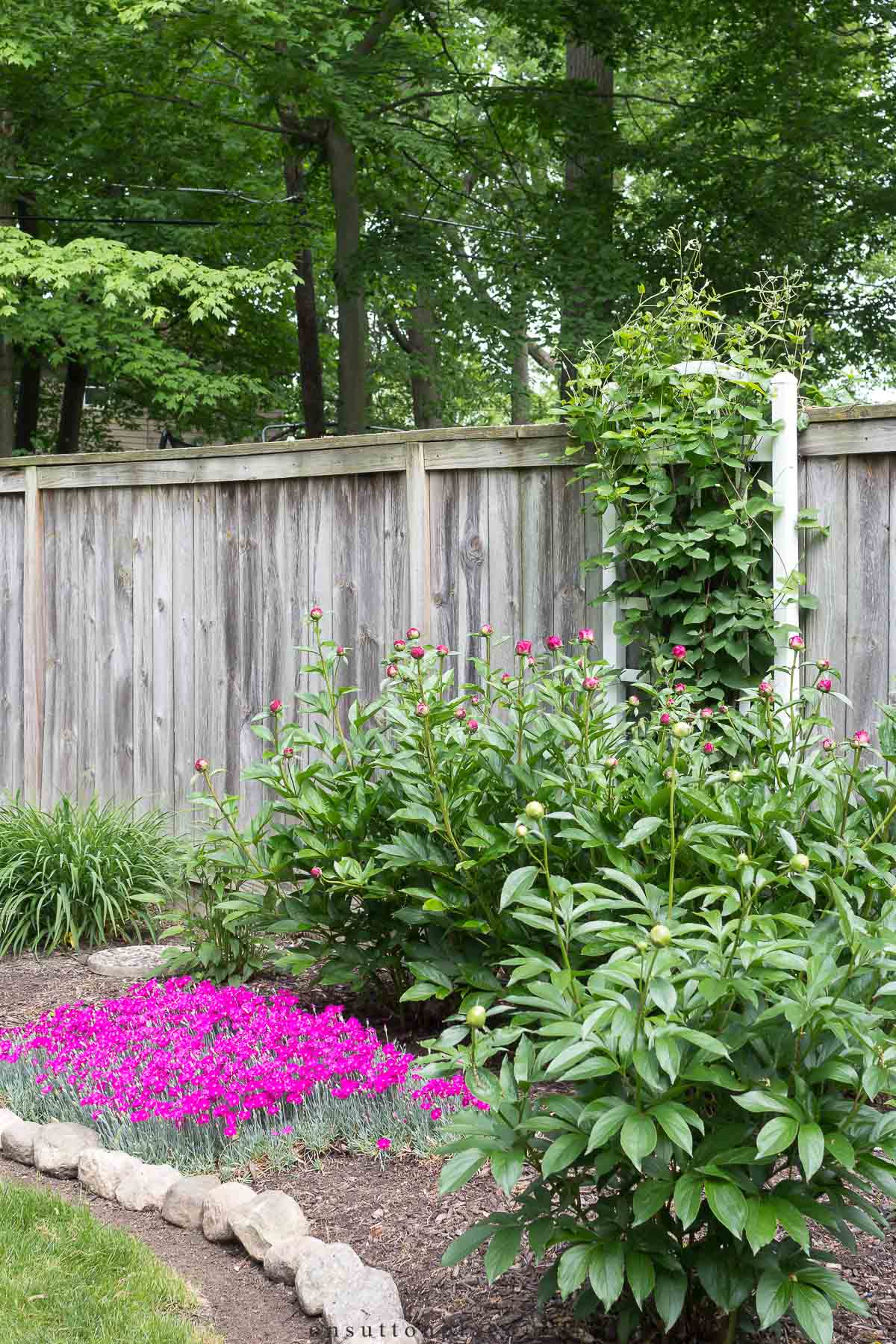 3 Landscape Edging Ideas To Keep Weeds and Grass Out Of Your Garden