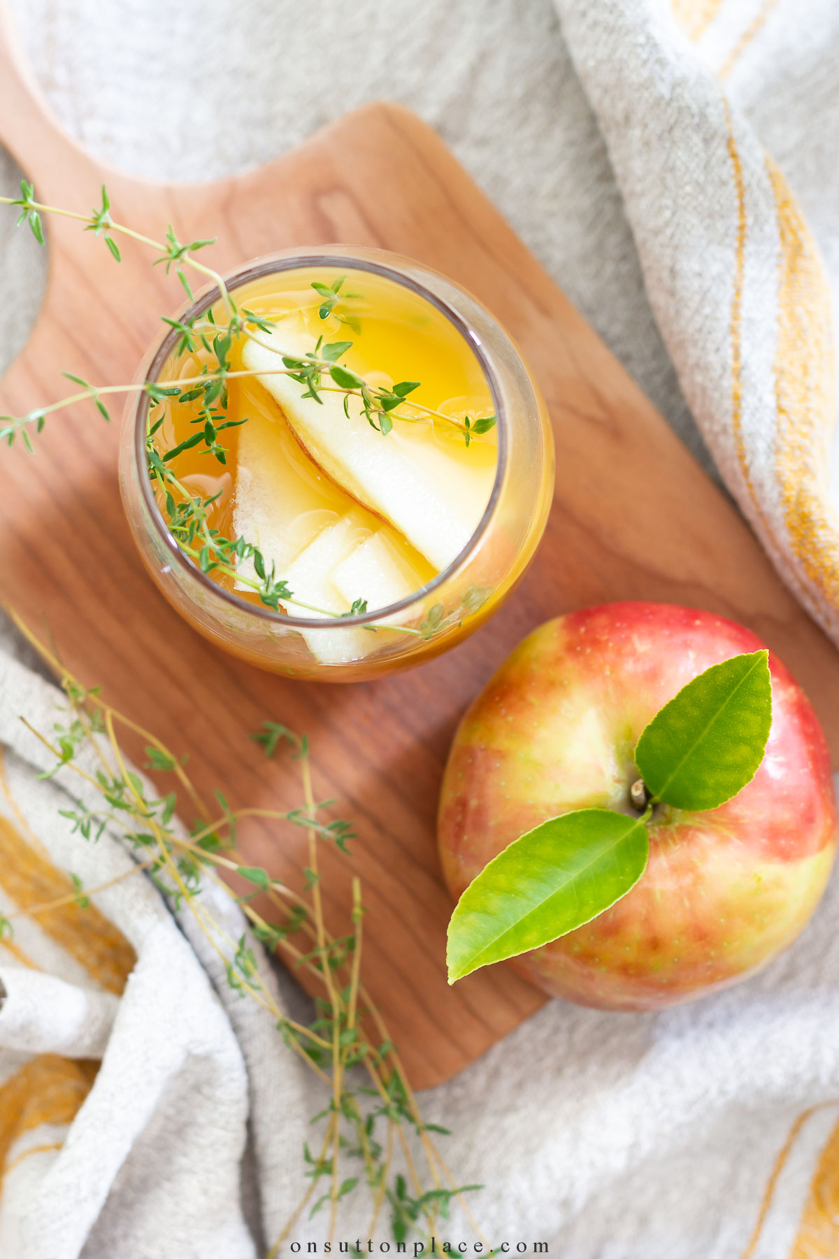 https://www.onsuttonplace.com/wp-content/uploads/2023/09/apple-and-ginger-mocktail-in-glass-with-fresh-apple-slices.jpg