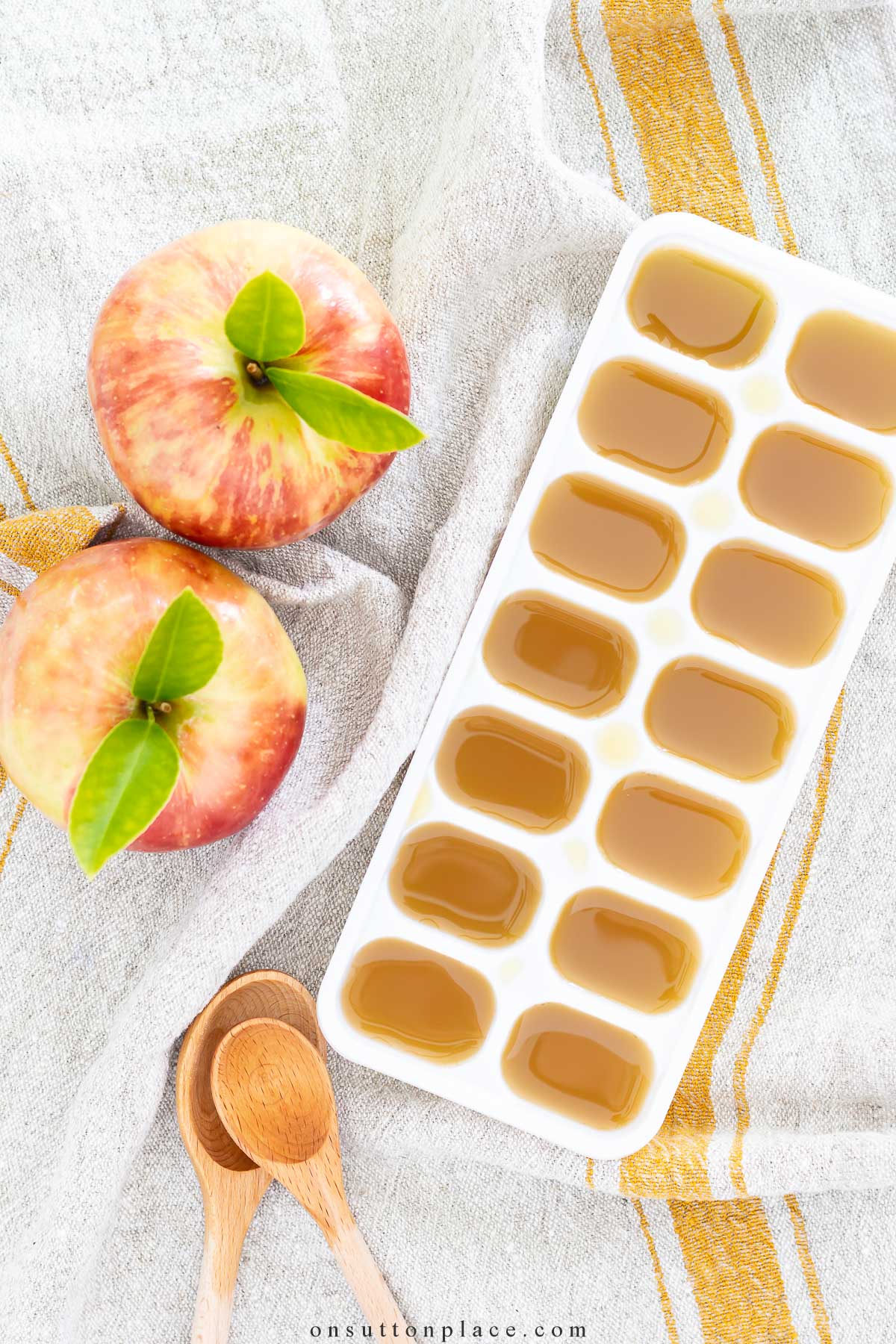 https://www.onsuttonplace.com/wp-content/uploads/2023/09/apple-juice-ice-cubes-in-tray.jpg