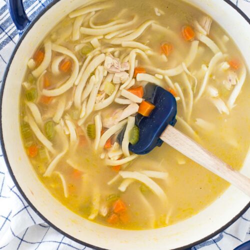 Literally the BEST Chicken Noodle Soup Recipe