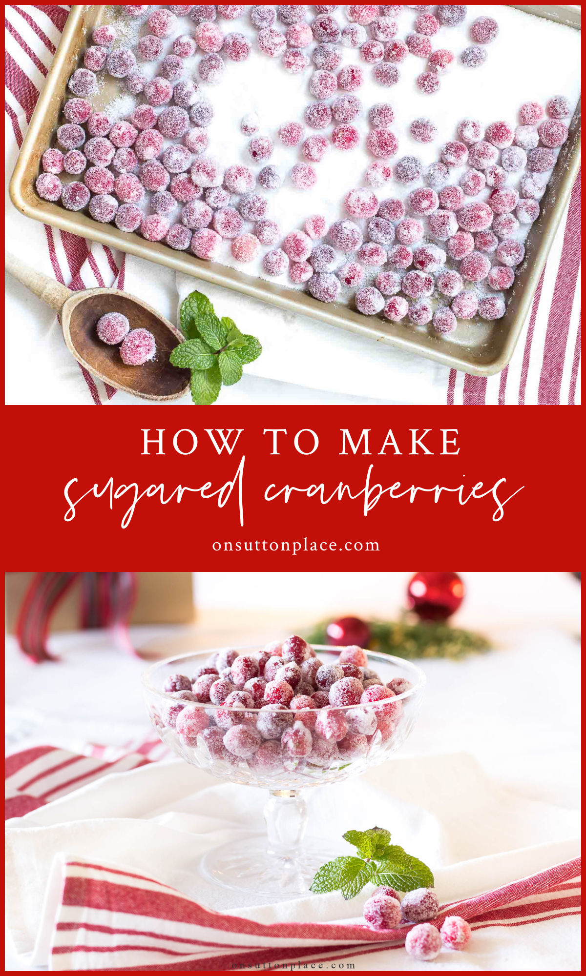 How To Make Sugared Cranberries On Sutton Place   How To Make Sugared Cranberries Pin With Text 