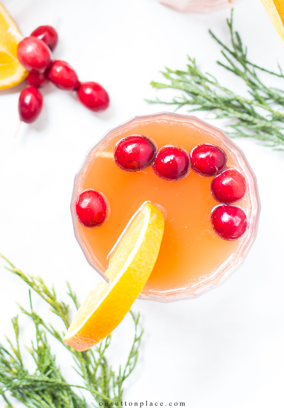 Sparkling Cranberry Mocktail Recipe - Resplendent Kitchen